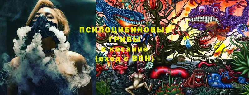 Галлюциногенные грибы MAGIC MUSHROOMS  кракен   Палласовка 